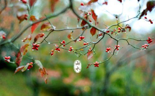 二十四节气｜雨水至，农谚“暖雨水，冷惊蛰，暖春分”，啥意思？