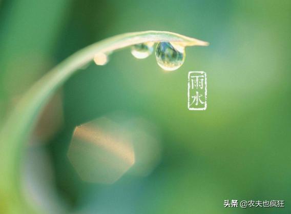 雨水节气到了，“雨水”是下雨的意思吗？雨水节气下雨有啥说法？