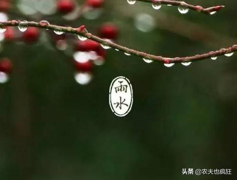 雨水节气到了，“雨水”是下雨的意思吗？雨水节气下雨有啥说法？