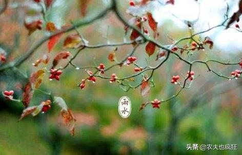 雨水节气到了,“雨水”是下雨的意思吗?雨水节气下雨有啥说法?