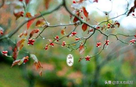 雨水节气到了，“雨水”是下雨的意思吗？雨水节气下雨有啥说法？