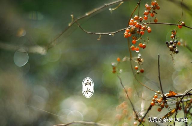 雨水节气到了，“雨水”是下雨的意思吗？雨水节气下雨有啥说法？