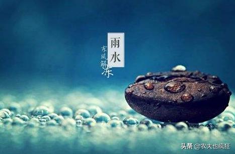 雨水节气到了,“雨水”是下雨的意思吗?雨水节气下雨有啥说法?