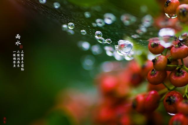 雨水节气话养生