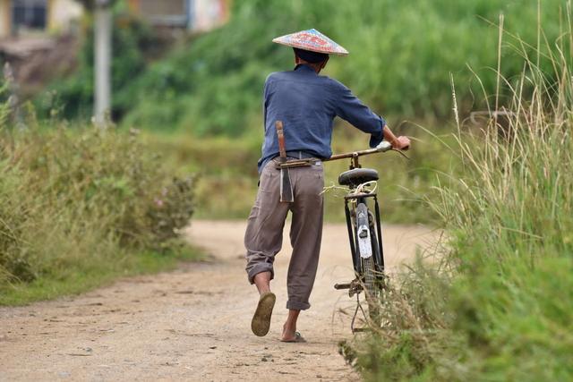 今日雨水，2020年降雨量如何？看看雨水节气的表现就知道了