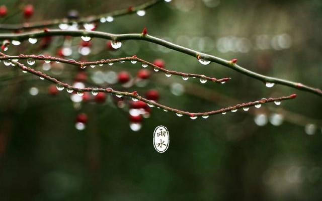 二十四节气|今日雨水,春风化暖,天降甘霖,宜喜不宜悲