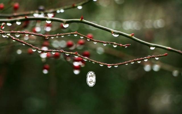 二十四节气｜今日雨水，春风化暖，天降甘霖，宜喜不宜悲