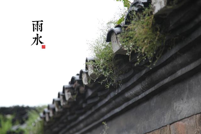 二十四节气|今日雨水,春风化暖,天降甘霖,宜喜不宜悲