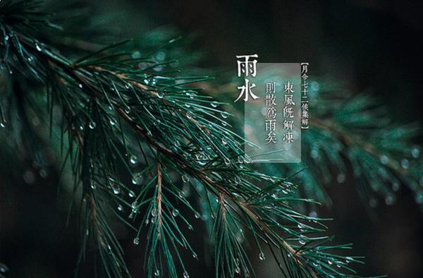 二十四节气｜今日雨水，春风化暖，天降甘霖，宜喜不宜悲