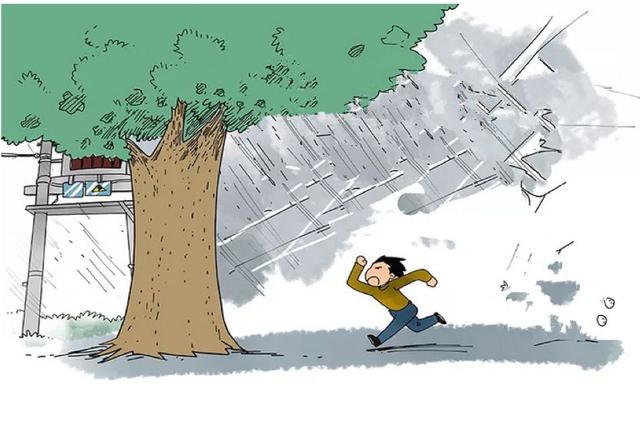 雨雨雨雨雨,这些用电安全的常识请你一定要收好!