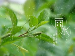 今日雨水，这些知识你了