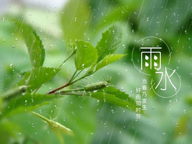 今日雨水,这些知识你了解吗