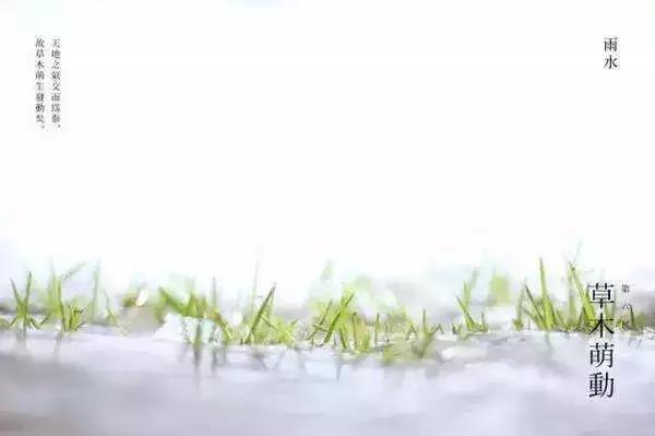 今日雨水,这些知识你了解吗