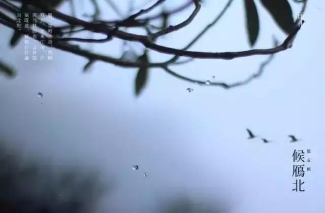 今日雨水,这些知识你了解吗