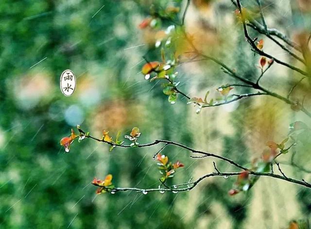 知节气｜今日雨水