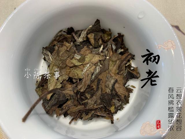 雨水节气时节,天气乍暖还寒,怎么喝白茶才适合呢?