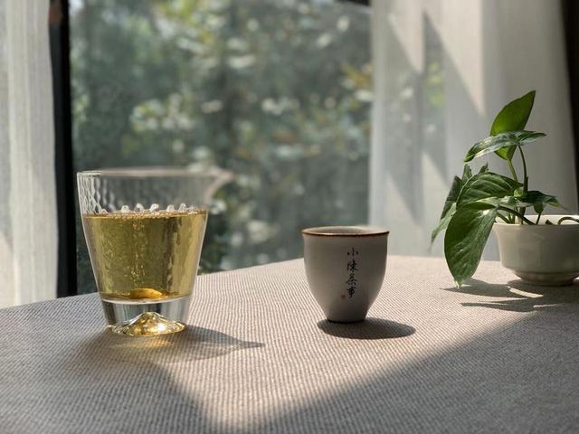 雨水节气时节,天气乍暖还寒,怎么喝白茶才适合呢?