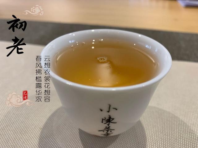 雨水节气时节,天气乍暖还寒,怎么喝白茶才适合呢?