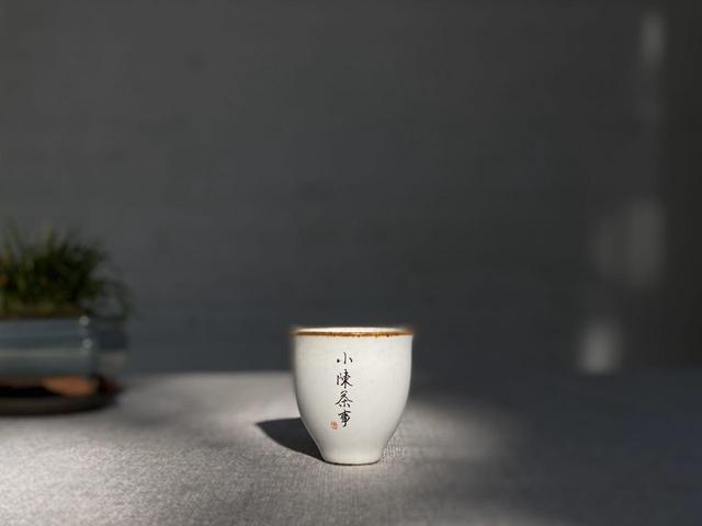 雨水节气时节,天气乍暖还寒,怎么喝白茶才适合呢?