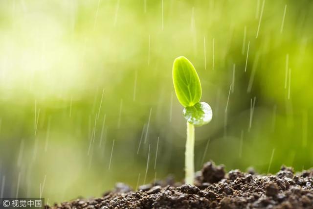 二十四节气科普知识手册之雨水