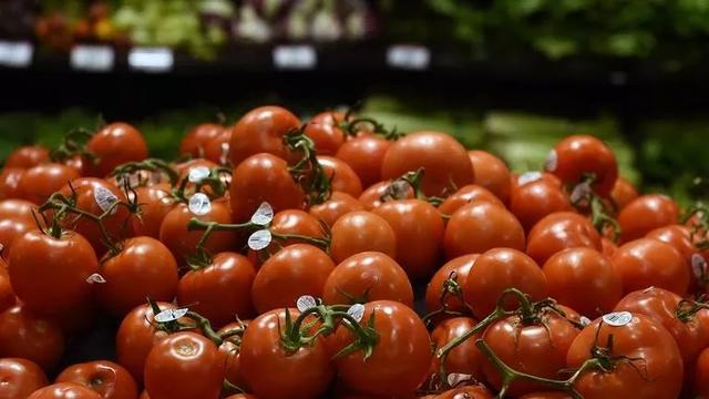 西红柿被病毒污染！欧洲各国紧急销毁。西红柿还能吃吗？