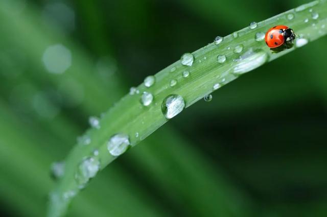 今日雨水 |  新一股冷空气已在路上，雨雪、降温、大风陆续登场！