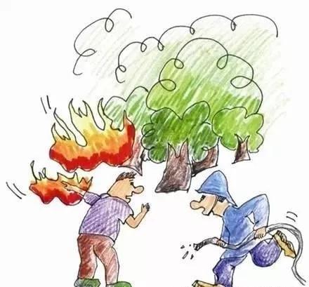 应急知识:大风天气安全防范知识