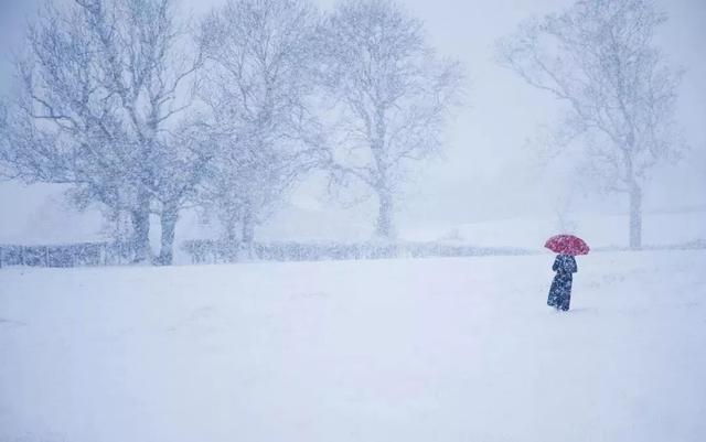 大雪节气，至此而雪盛，冬意更浓，这些必备小常识请收好！