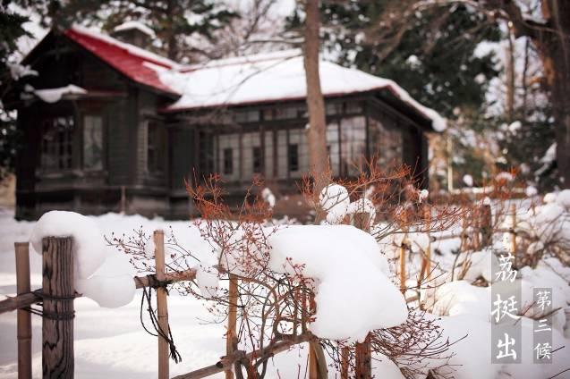 「今日大雪!」原来关于大雪的这些小知识如此有趣!你可别错过啦