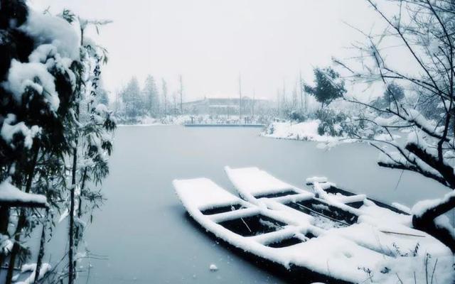 「今日大雪!」原来关于大雪的这些小知识如此有趣!你可别错过啦