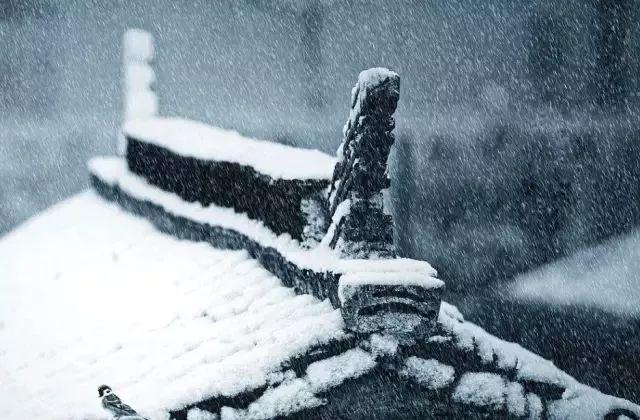 「今日大雪!」原来关于大雪的这些小知识如此有趣!你可别错过啦