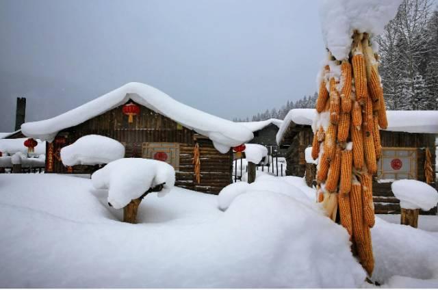 「今日大雪!」原来关于大雪的这些小知识如此有趣!你可别错过啦