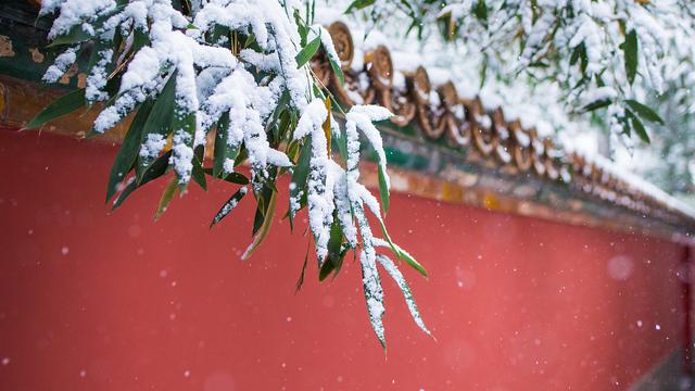 大雪节气的天气怎么样?大雪的气候特点有哪些?