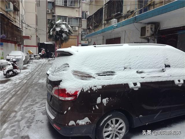 南阳大雪美丽冻人 银装素裹分外妖娆