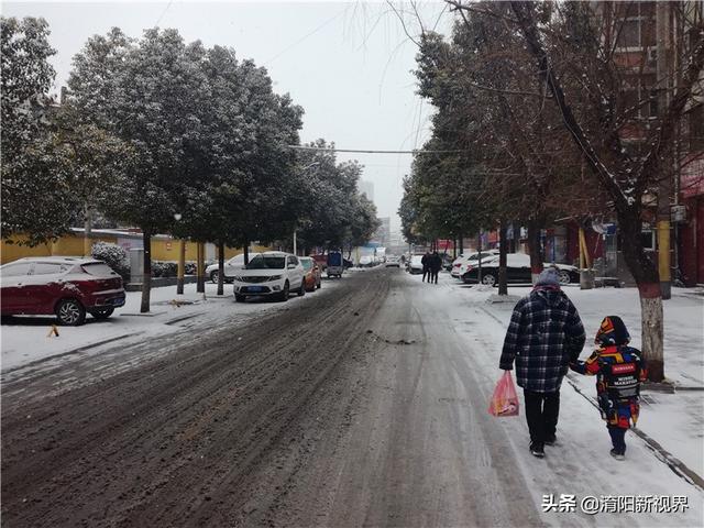 南阳大雪美丽冻人 银装素裹分外妖娆