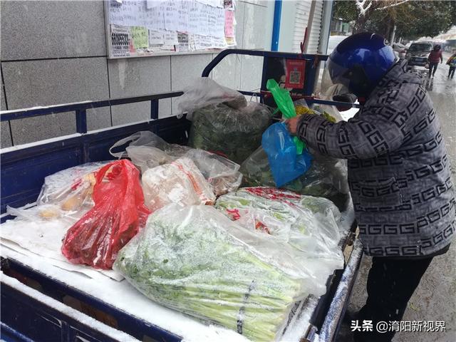 南阳大雪美丽冻人 银装素裹分外妖娆