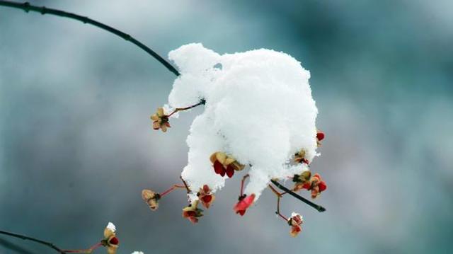 今日大雪，安全过冬，这些注意事项你要记住了！