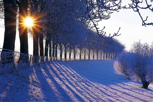大雪俗语:“寒风迎大雪,三九天气暖”啥意思?今年冬天暖和吗?