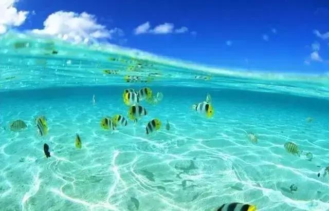 国内上百个旅游景点汇总在此,值得收藏!