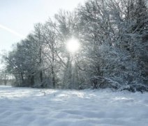 二十四节气大雪的介绍 节