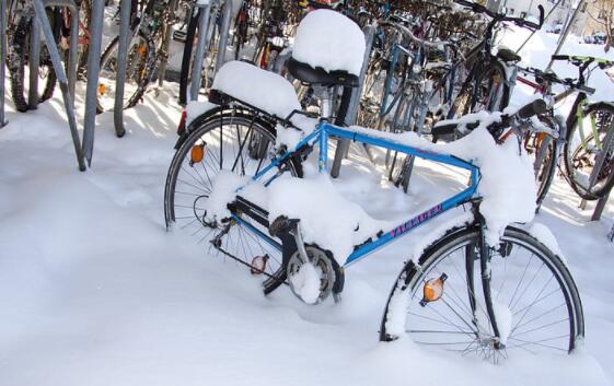 冬天冷的图片 最新冬天下雪结冰的寒冷图集