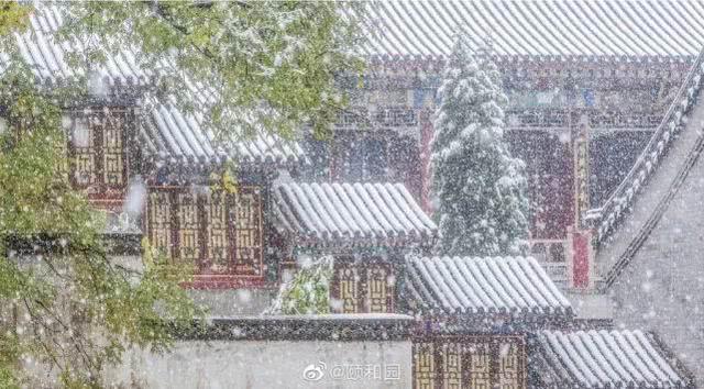 上海21℃！北京下雪“美”上热搜，看看美图，感受下真正的冬天