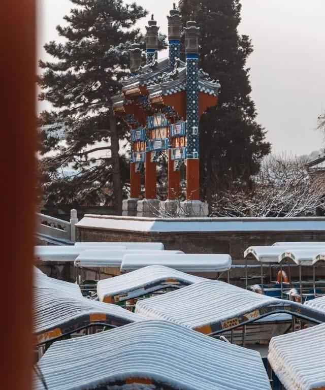 上海21℃！北京下雪“美”上热搜，看看美图，感受下真正的冬天