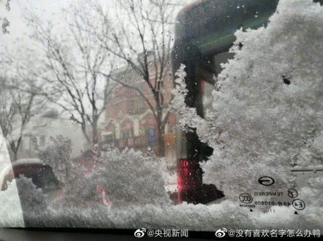 上海21℃！北京下雪“美”上热搜，看看美图，感受下真正的冬天