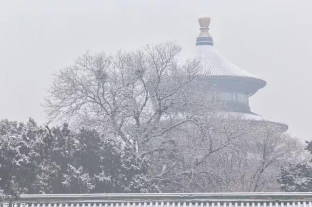 上海21℃！北京下雪“美”上热搜，看看美图，感受下真正的冬天