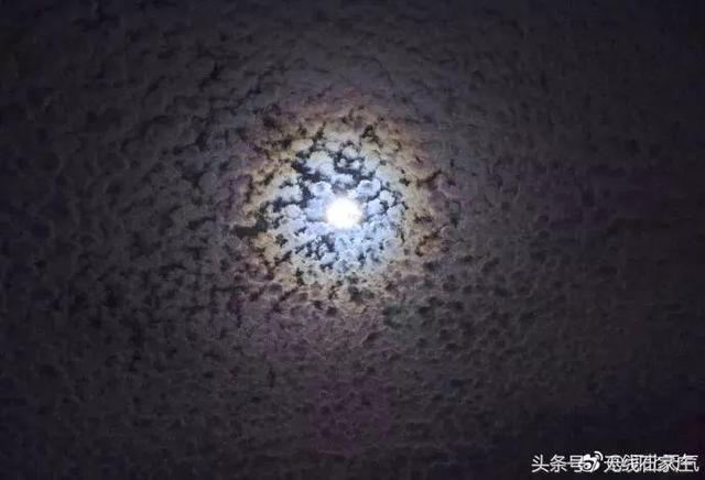 石家庄惊现“地震云”?网友吵翻了!真相竟是……