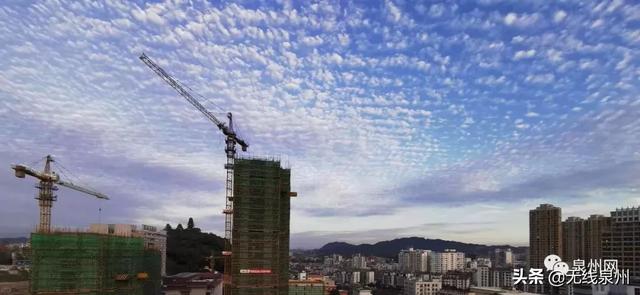 惊艳!满天“鱼鳞云”刷屏泉州人的朋友圈!真的跟地震有关吗?
