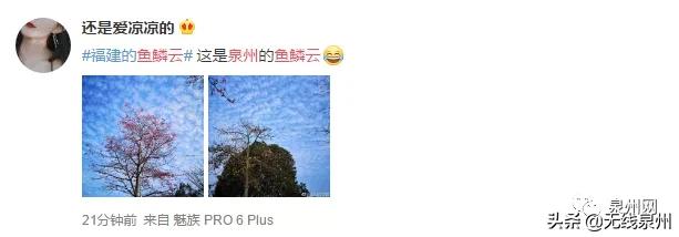 惊艳!满天“鱼鳞云”刷屏泉州人的朋友圈!真的跟地震有关吗?
