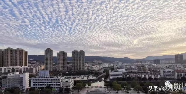 惊艳!满天“鱼鳞云”刷屏泉州人的朋友圈!真的跟地震有关吗?