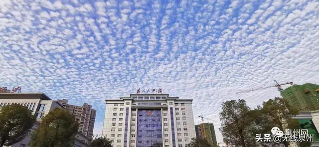 惊艳!满天“鱼鳞云”刷屏泉州人的朋友圈!真的跟地震有关吗?